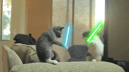 A GIF of two cats fighting with light sabres.